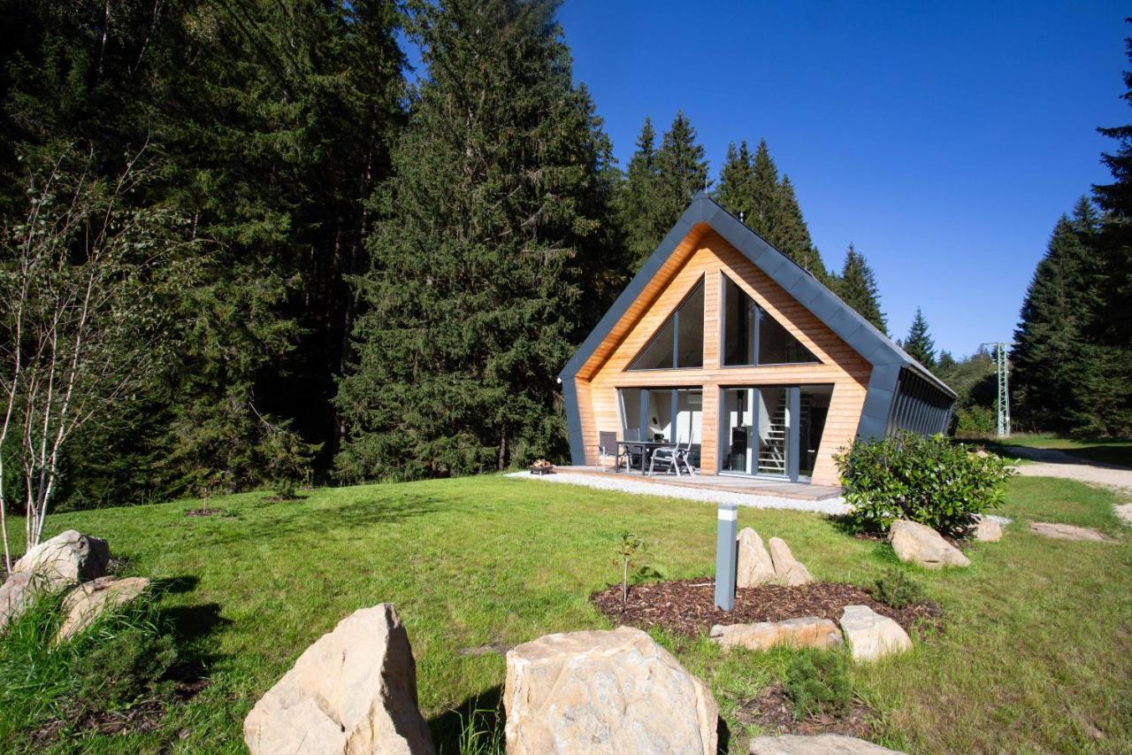 Chalet Belveder Zelezna Ruda Martina ภายนอก รูปภาพ